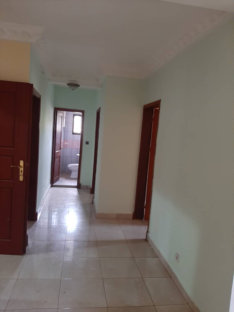 TontonZ237's tweet photo. Appartements neufs haut-standing en bordure de route à Ekoumdoum ( carrefour de l'amitié)
2ch 2douches 
200.000fcfa/mois https://t.co/eGLIsgjvja
