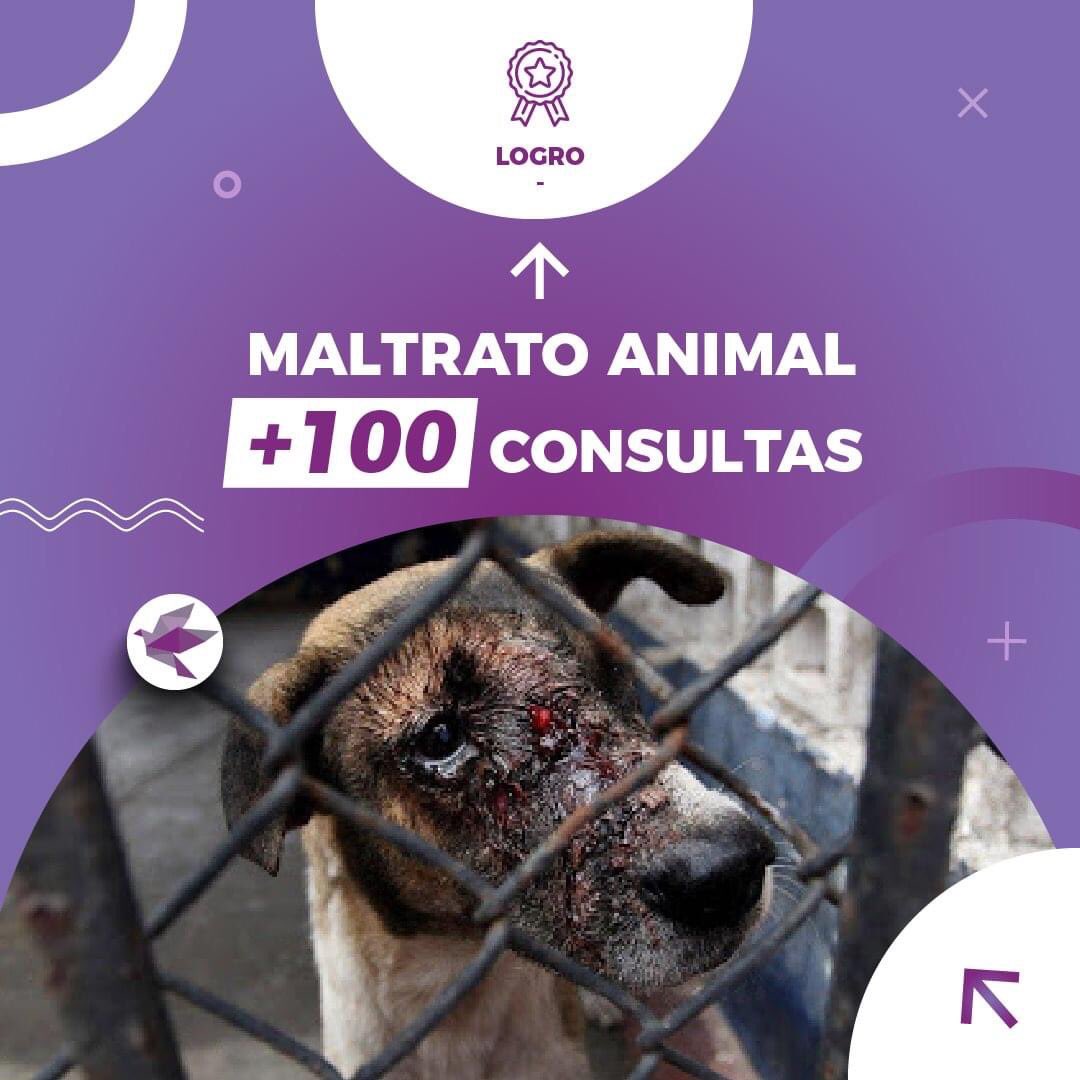 aluisaorg's tweet photo. ALUISA te asesora en casos de maltrato animal  📝 

Contamos con una red de proteccionistas, rescatistas y vecinos trabajando en equipo para frenar este delito

Juntos podemos. 💫 Si tenés alguna consulta o duda de cómo denunciar escribinos: info@aluisa.org 

#Asesoria #Denuncia https://t.co/Fo15bKZaQ7