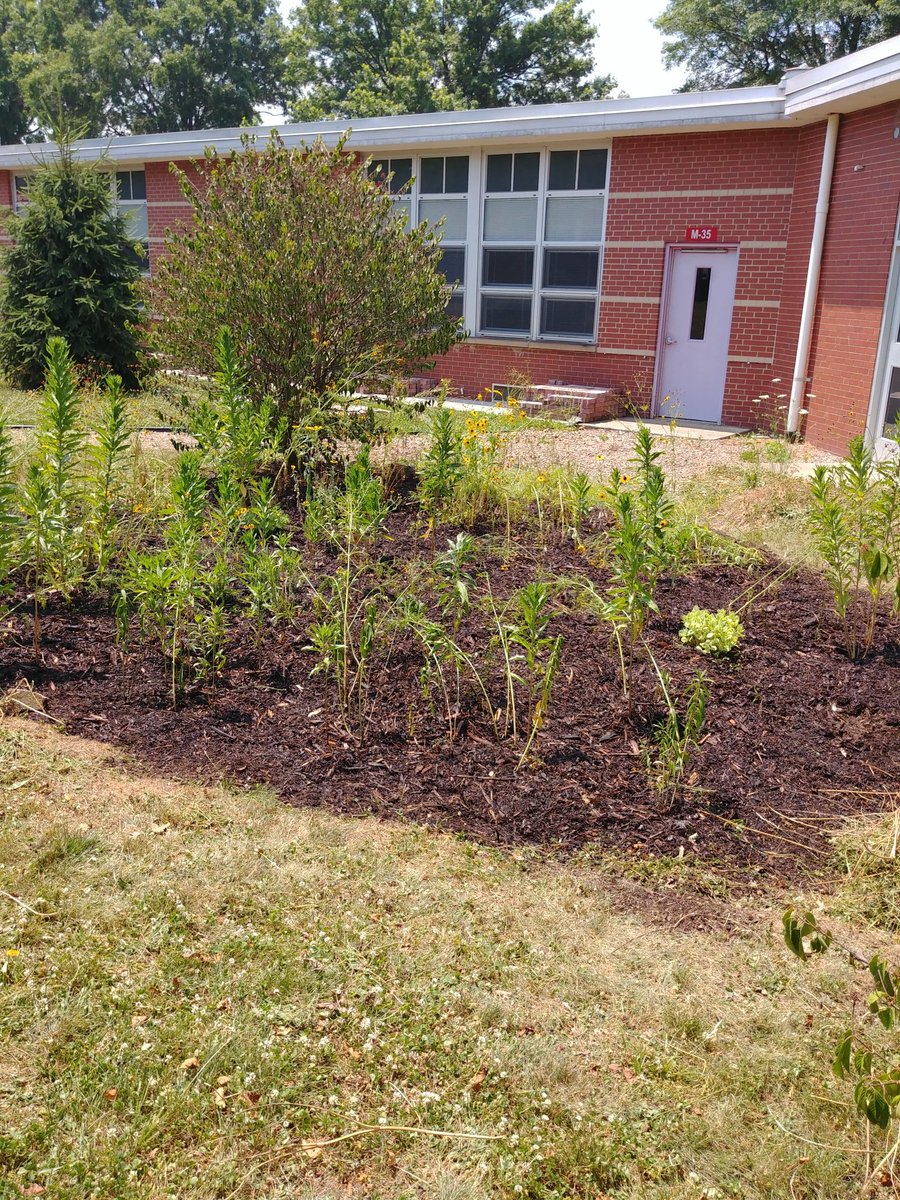 JeanineGing's tweet photo. Courtyard Classroom continues to grow despite Covid. Mulched the Monarch garden and hoping to be there this fall for butterflies.
#courtyardclassroom
#steamcatalyst
@DrJAFuller
@AlleghenyIU3
@MrRyanSmith1 https://t.co/RqRTy8PnPG
