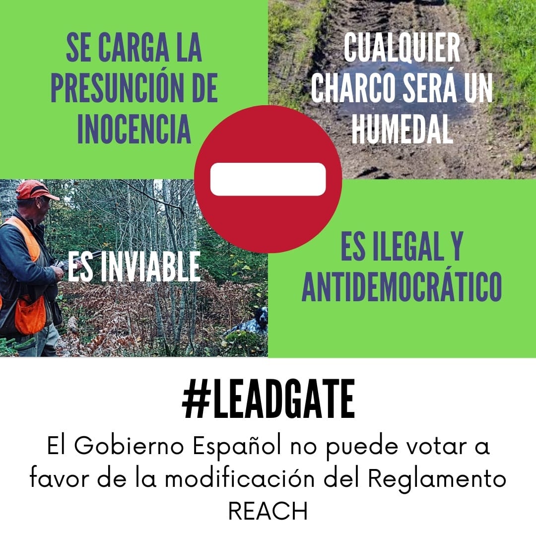Que cualquier charco de agua sea considerado un humedal al mismo nivel que lo es, por ejemplo, La Laguna de Fuente de Piedra es un claro reflejo de la regresión de la inteligencia humana. Basta ya de hacer el ridículo señores del <a href="/mitecogob/">Transición Ecológica y Reto Demográfico</a> <a href="/Teresaribera/">Teresa Ribera</a>. #LEADGATE