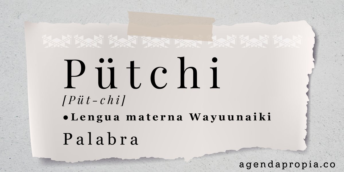 Pütchi es Palabra. Para el Pueblo Wayuu las mujeres con sus voces guían a sus hijas e hijos, y preservan la sabiduría de sus ancestros.
 
Muy pronto #OmePütchiPoraû | #MujerPalabraResistencia en agendapropia.co <a href="/agendapropiaap/">agendapropia</a> y medios aliados.