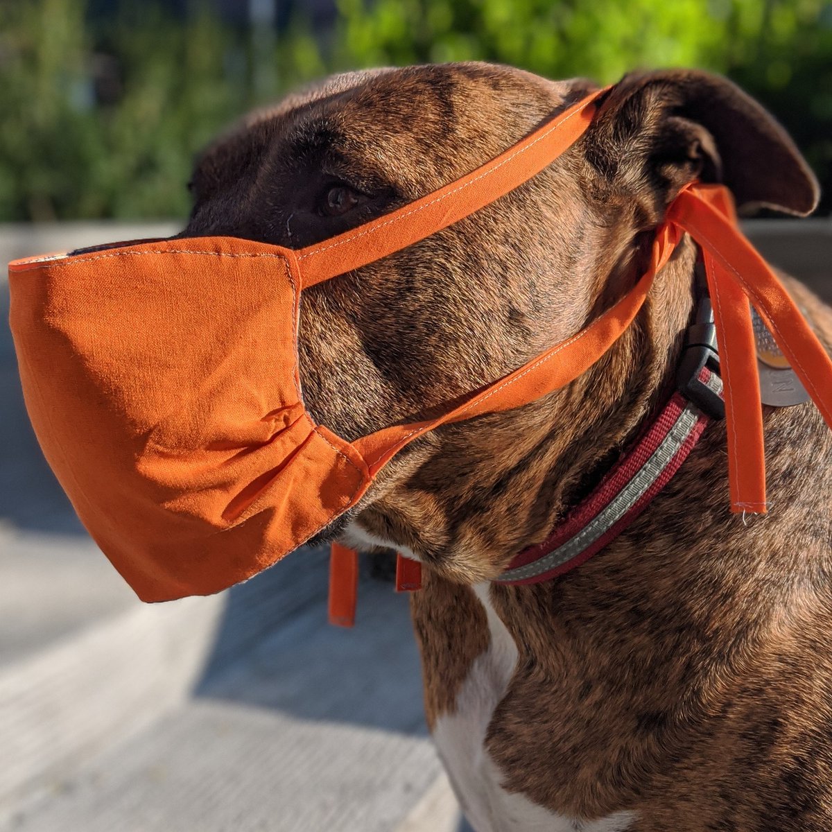 David Moffly tweet media