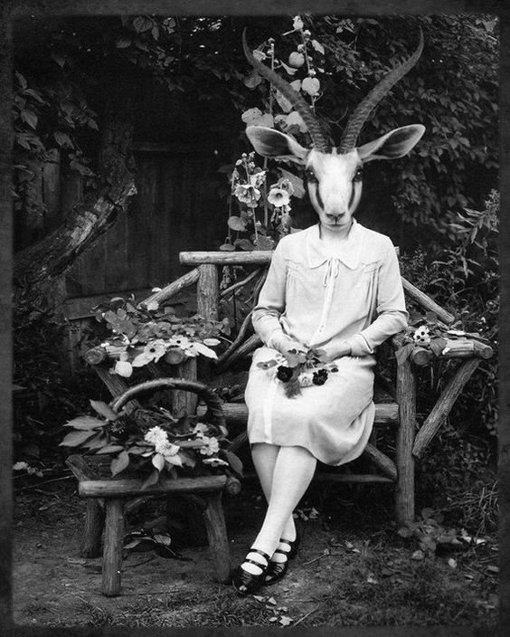 IanDurneen's tweet photo. @NinaAntonia13 @juliedixart Just a rumour 😂
#InRepose not my image etc https://t.co/WusuXw4hAe
