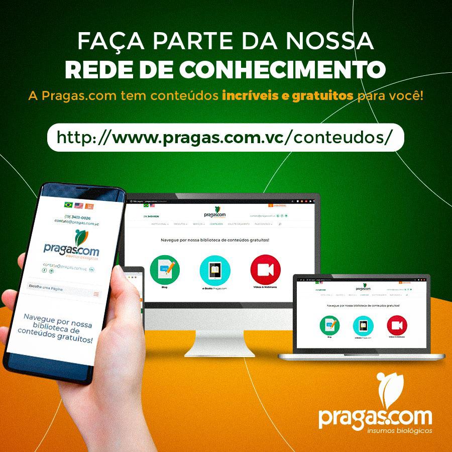 ☑Gostamos de compartilhar do nosso conhecimento e inovação. 

❗Pensando nisso, temos diversos conteúdos gratuitos que irão agregar para você em conhecimento técnico sobre o mercado nas áreas que atuamos. 

📲Acesso nosso site: pragas.com.vc/conteudos/ 

➡Fique por dentro