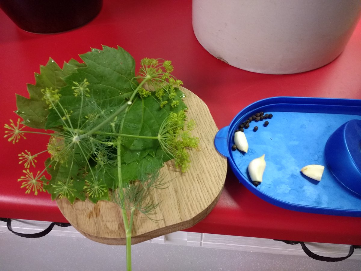 Some of the things that you can place in the crock are: dill, garlic, peppercorns, and grape leaves. Bay leaves, mustard seeds, and red pepper are good as well.