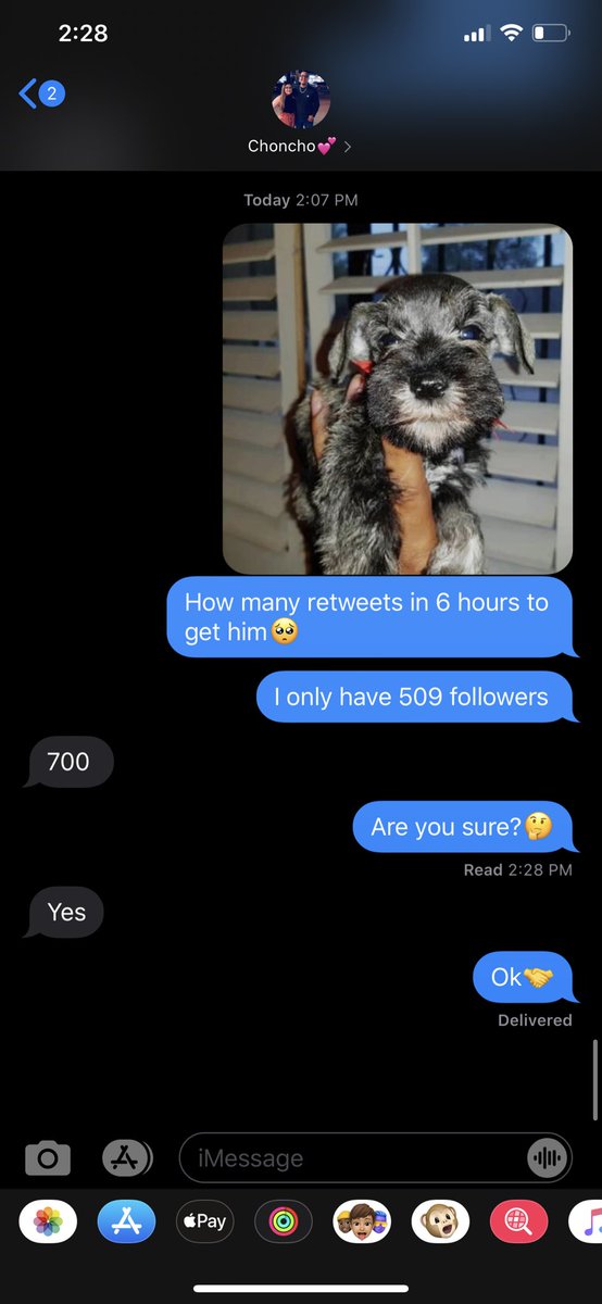 sidneyy_jerk's tweet photo. Guys Please Help Me Out🥺
 Look At His Cute Little Face!😭❤️❤️❤️
2:30 I have until 8:30 to get the retweets help me out!😞❤️ https://t.co/AAM1bSY62n