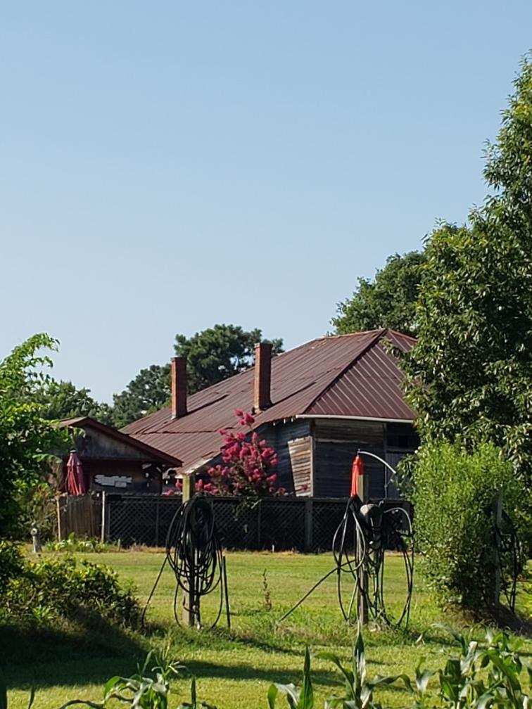 Cassy_Paschal1's tweet photo. What an exquisite morning to get an actual tour of the Chapin area near Amicks Ferry. What a rich heritage this area possesses. I love serving this community. Thank you Rick Howell for making it so special. #Pridein5 https://t.co/mPPqHmI4RX