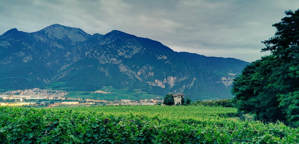 mintux_'s tweet photo. Monte Bondone in @VisitTrentino https://t.co/BUbzrlyFXk