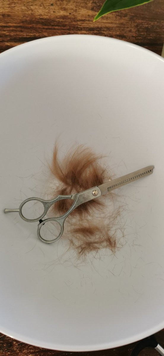 Neu in meinem #CV
- Mamicoiffeur: Anfänger