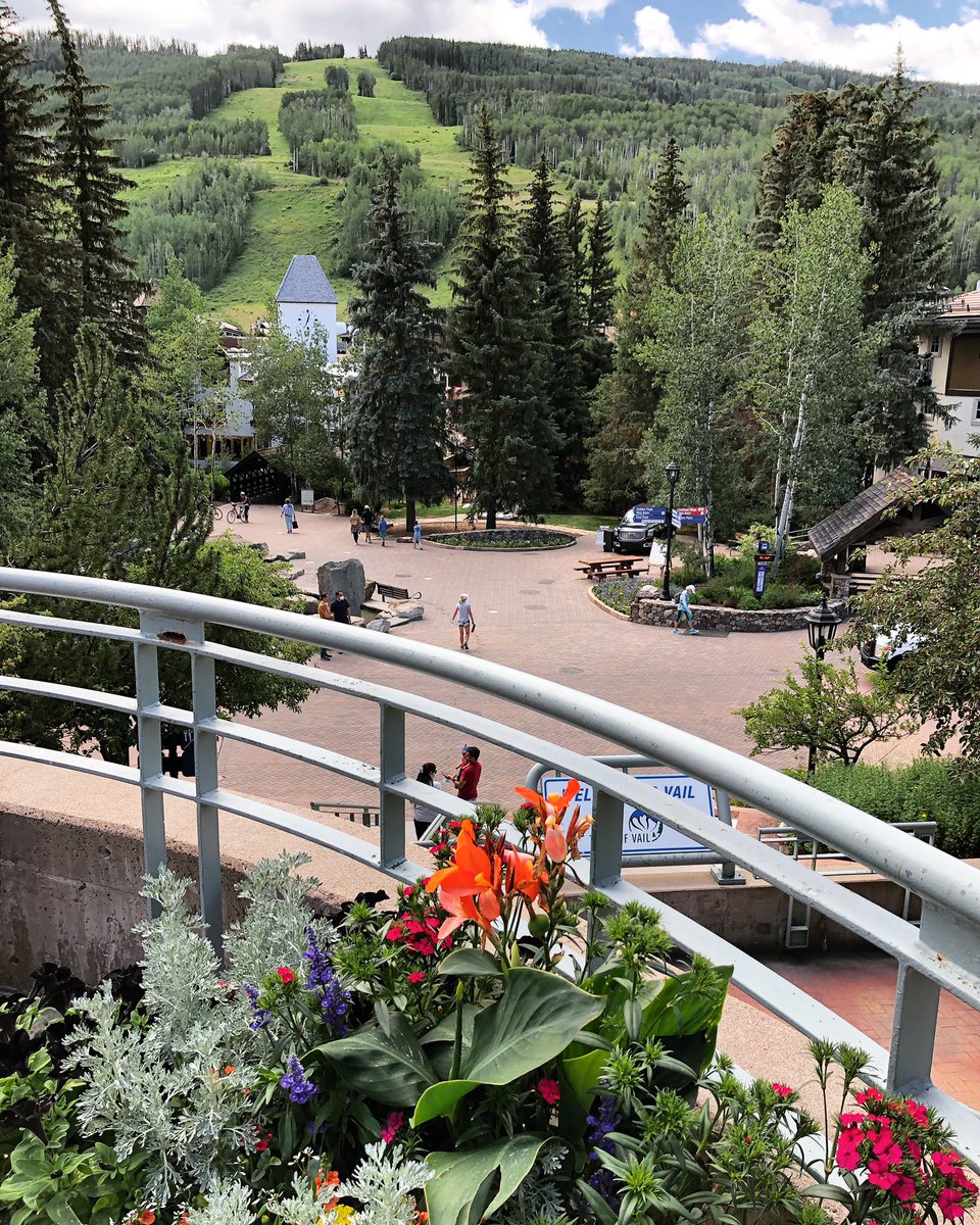 VailGov's tweet photo. Love our little town 🏔 #VailSummer https://t.co/kTJFp3rtXL