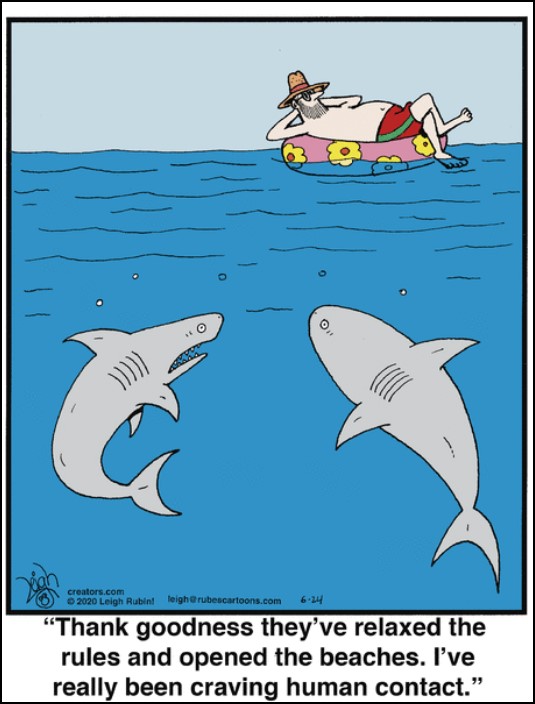 Gregory Mancuso в Twitter: „#Sharks Appreciate #ReOpening Beaches #comics # cartoon #lol #comedy #jokes #humor #hilarious #laughter #funny #fun #smile  #laughing #lmao #haha /VxojK8NEta“ / Twitter