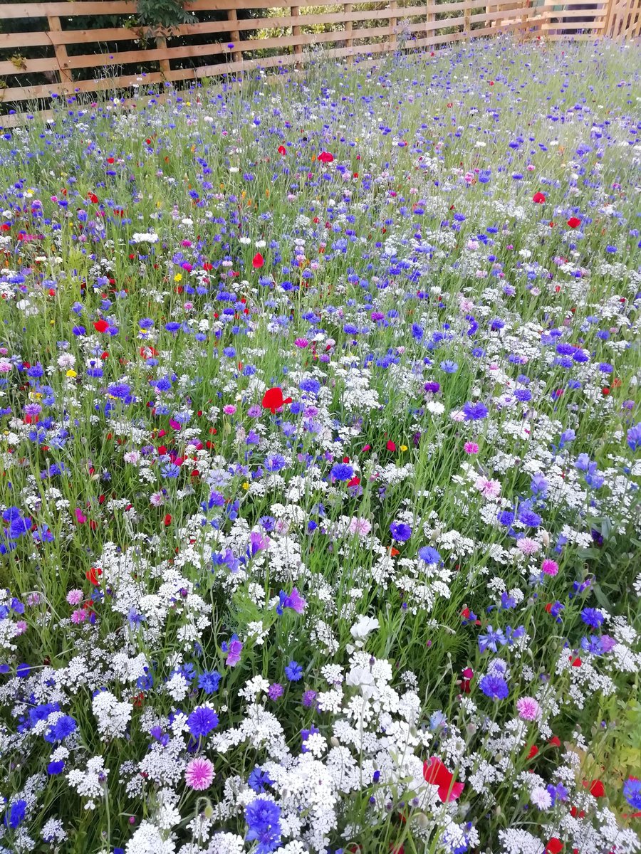 DevonGardenSolutions tweet media
