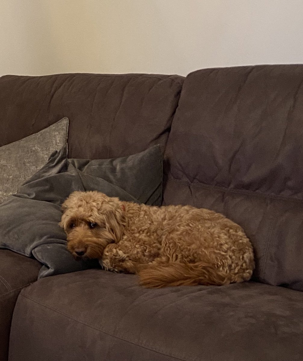 James Robinson Golf tweet media