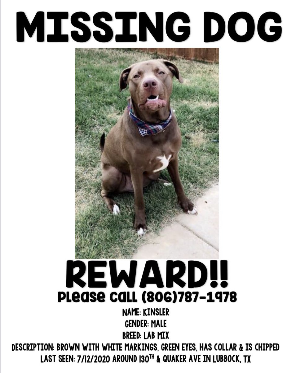 Please help us bring sweet Kinsler home!!!!! A simple retweet would mean so so much ♥️