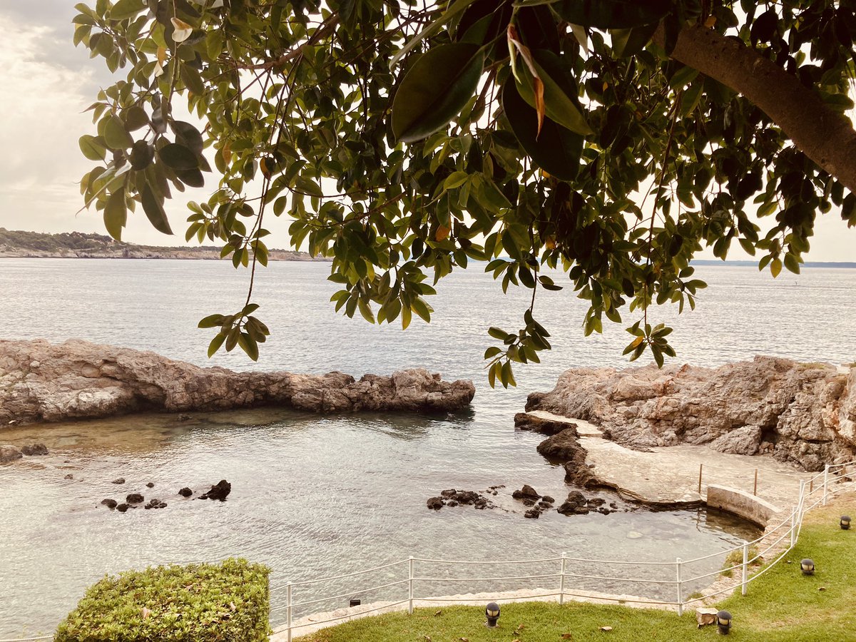 Jose Ramón RBorbolla tweet media