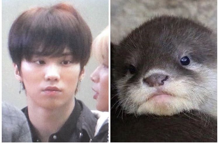 inspired by this photo i had in my camera roll from over a year ago and  https://twitter.com/myungjunn...