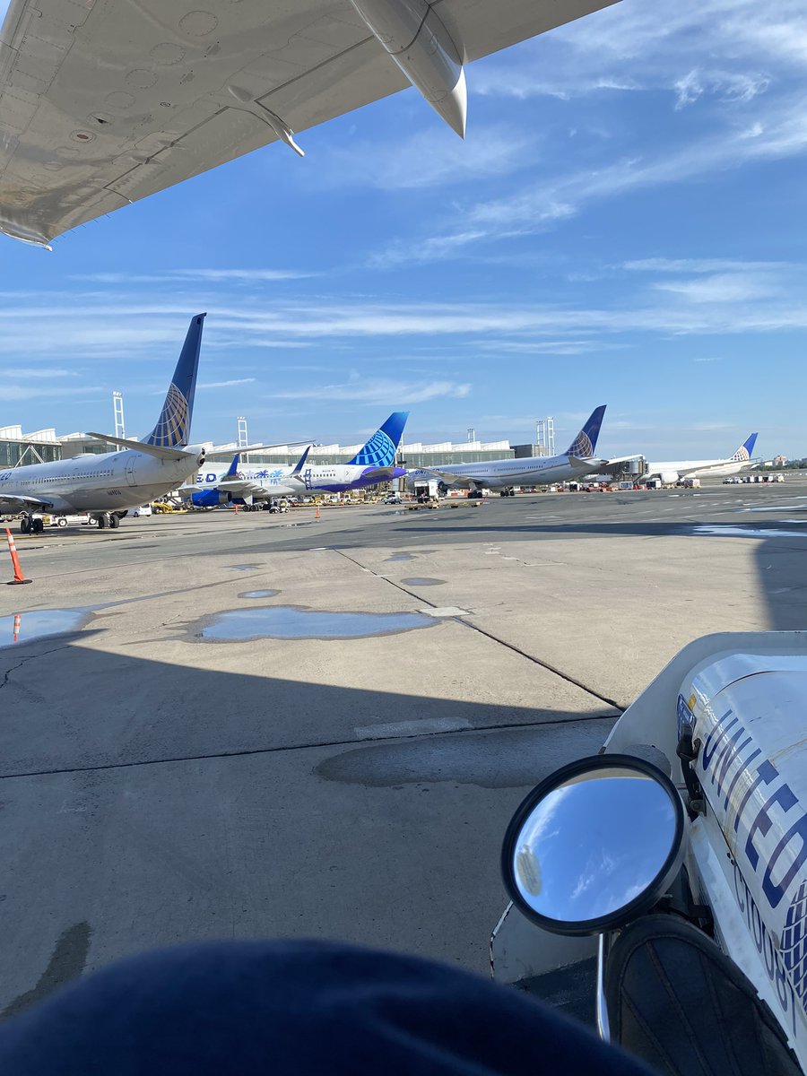 Standard_Deem tweet media