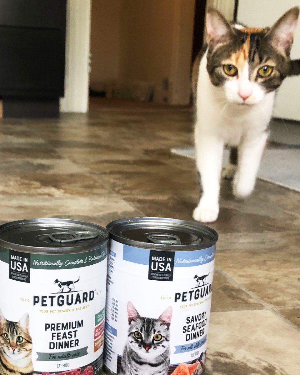 petguardinc's tweet photo. On the prowl for a new flavor? Head over to Chewy or PetFlow to try one today.
.
.
.
#PetGuard #PetGuardians #wetfood #natural #wellness #catsofinstagram #cats #catstagram #ilovemycat #cute #adorable #instacat #catlover #catoftheday #kittyfeatures #catfeatures https://t.co/03BTwH1fKe