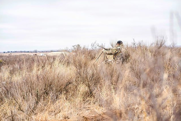 kingscamo's tweet photo. Keeping predators in check. Nice work @capturingthehunt 👊
.
#kingscamo #predatorhunting #desertshadow https://t.co/nQez4BE6U4