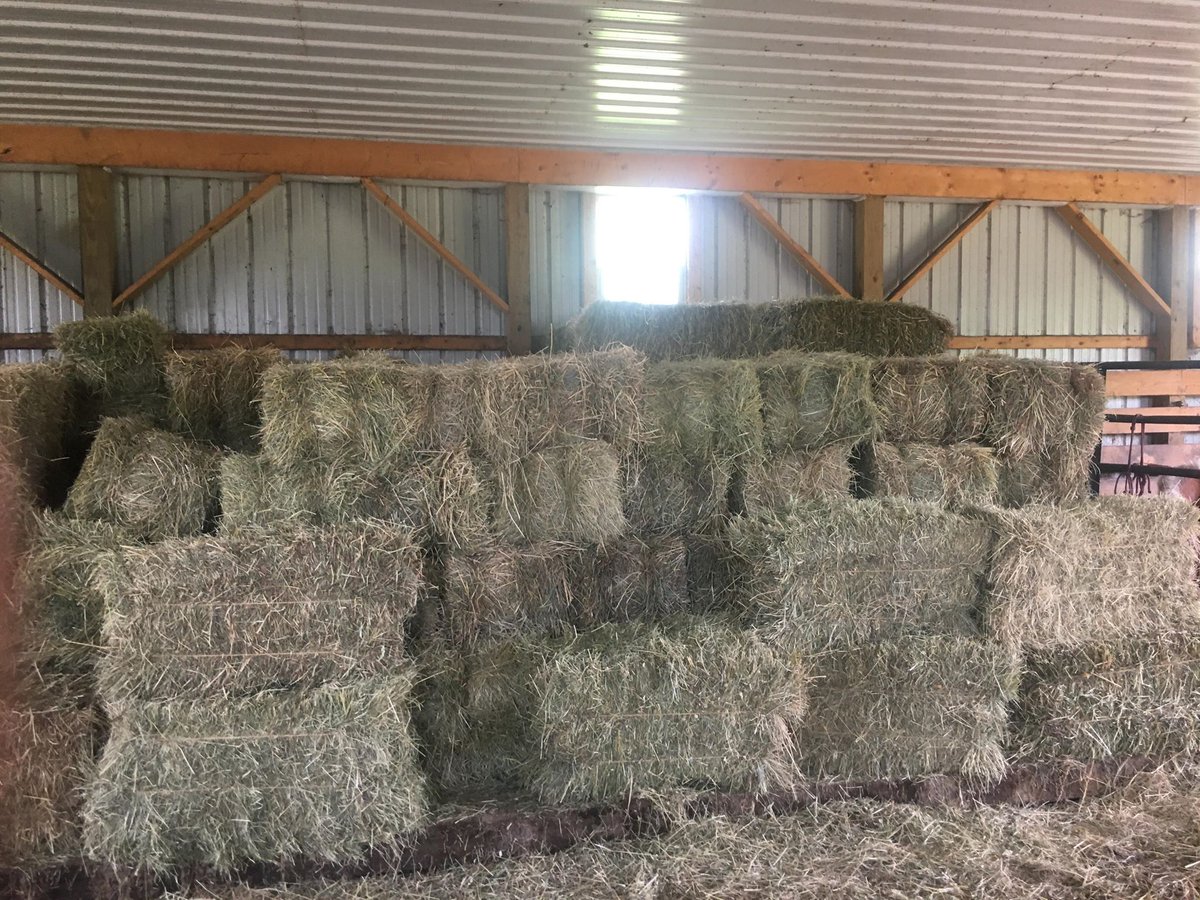 alitbitofheaven's tweet photo. Thank you to one of our long time donors for the hay donation today!!! 

With the current drought conditions and having to feed hay already this is a much needed item for our horses. Thank you for your generosity! https://t.co/2hYoUaI7JX