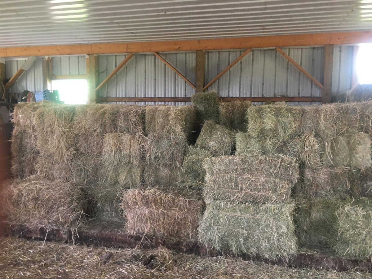 alitbitofheaven's tweet photo. Thank you to one of our long time donors for the hay donation today!!! 

With the current drought conditions and having to feed hay already this is a much needed item for our horses. Thank you for your generosity! https://t.co/2hYoUaI7JX