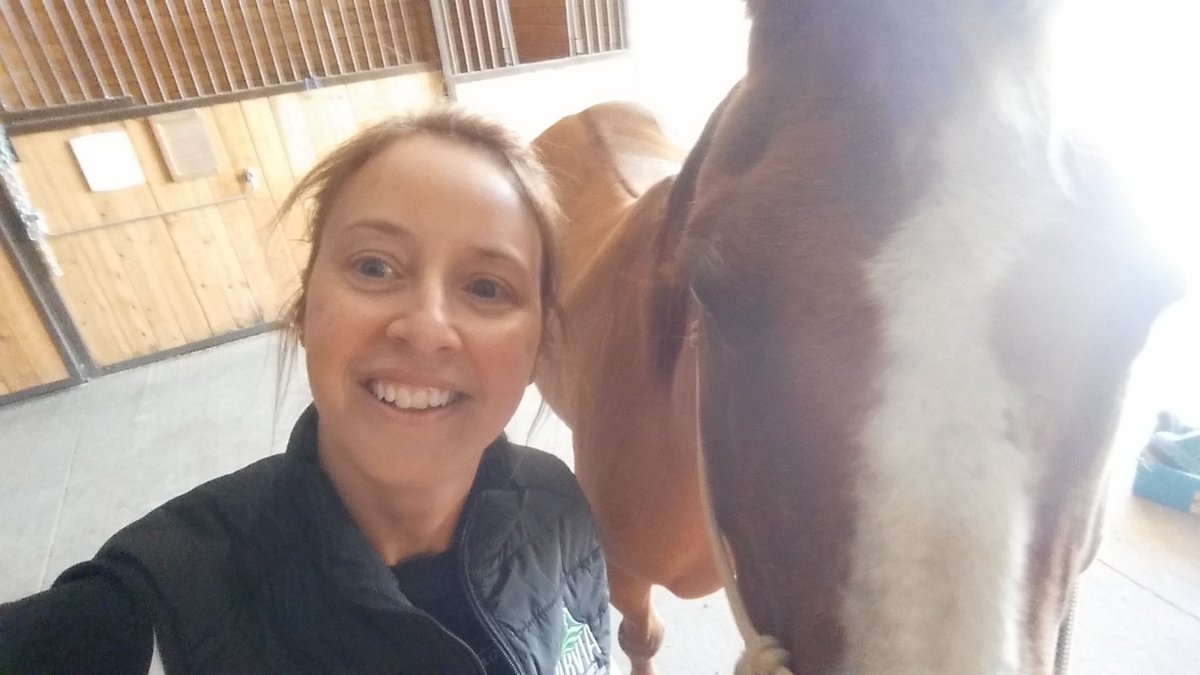 CloustonMisty's tweet photo. Great day @OldsCollege working our AHT Program horses.  They are such amazing horses to be around- great therapy for the soul ❤.  #annabelle, #hobo,#fonzie, #sugar #phair https://t.co/gIczKGKJJx