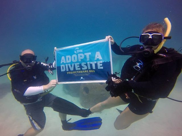 We conduct regular #dive site clean ups to keep our oceans clean and to gather data on the specific debris that we find. This information will help future policies to help change. ⠀https://t.co/45JWZs0F6T
#earth #adoptadivesite #cleanup #science #diveagainstdebris #underwater https://t.co/SUHaK61aGw