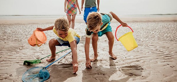 What's on your bucket list?

read: harbourliving.ca/vancouverislan…