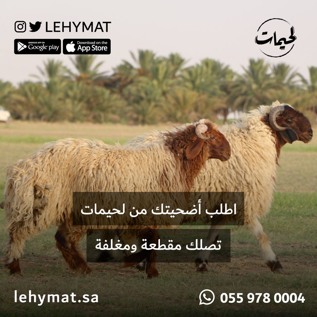 lehymat's tweet photo. اطلب اضحيتك من تطبيق لحيمات تصلك مقطعة ومغلفة. نوصل للدمام والخبر والجبيل.
https://t.co/De91gsjNbP
 #اضحية #عيد_الاضحى #عيد #الدمام #الخبر #الجبيل #ذبايح #ذبائح #اضاحي #اضحية #عيد_الاضحى #عيد #الدمام #الخبر #الجبيل #ذبايح #ذبائح #اضاحي https://t.co/DAtrjwa0mv