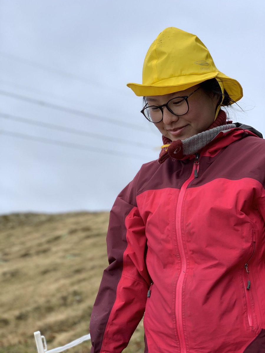 VVandvik's tweet photo. At the coldest, wettest corner of our climate grid, Vikafjell, the snow is not *quite* melted out yet. But site itself is (just) snow free, and @UiB students know how to dress for a rainy day in the mountains: layers of wool and no-nonsense raingear! #sydvest https://t.co/B227Jv4cMj