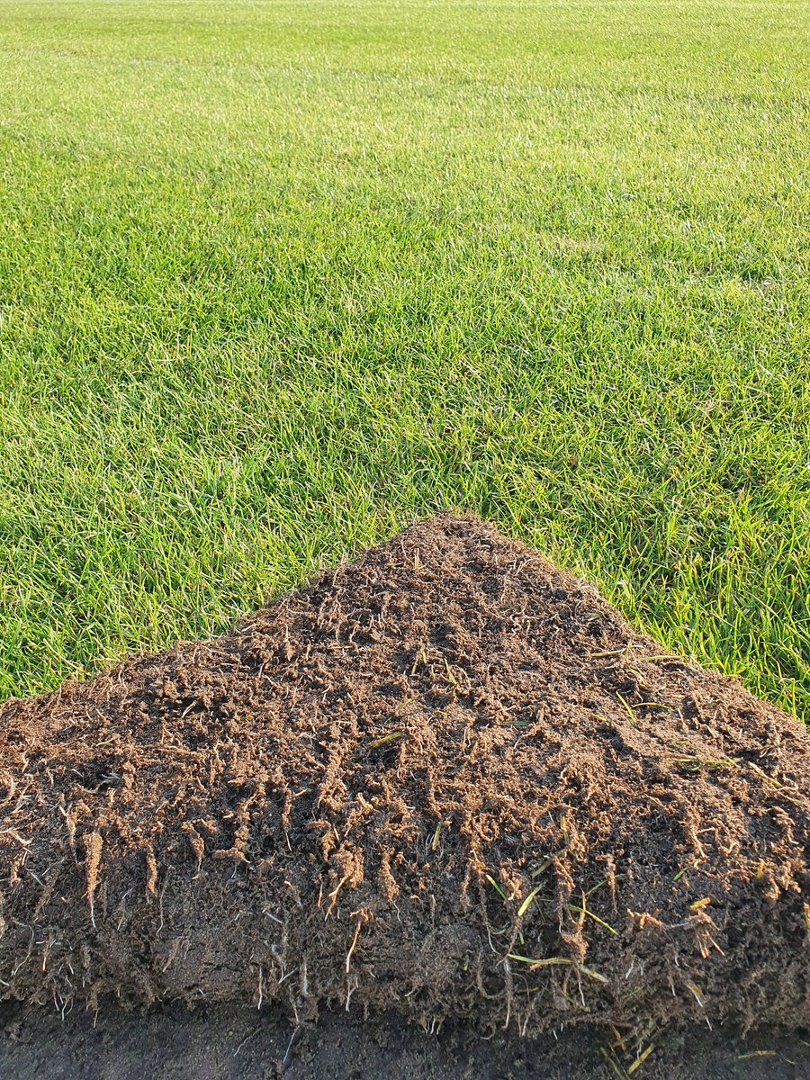 Vanavond ook nog volop in bedrijf, <a href="/mac3parkstadion/">mac3parkstadion</a> Pitch in the twight light zone! ⚽️♻️ #PecToGrass #PassieVoorGras