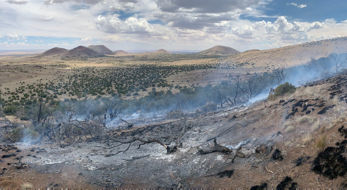 azstateforestry's tweet photo. Nice work! Firefighters caught the #KentuckyFire at 10 acres, & now have it 100% contained. The fire started Sun. pm, approx. 40 mi. N. #Flagstaff & 1/2 mi. W. Colton Crater. The fire burned thru patches of Pinyon-Juniper & Conifer. Unknown cause. #AZFire #AZForestry @CoconinoNF https://t.co/vGlIsgFWje