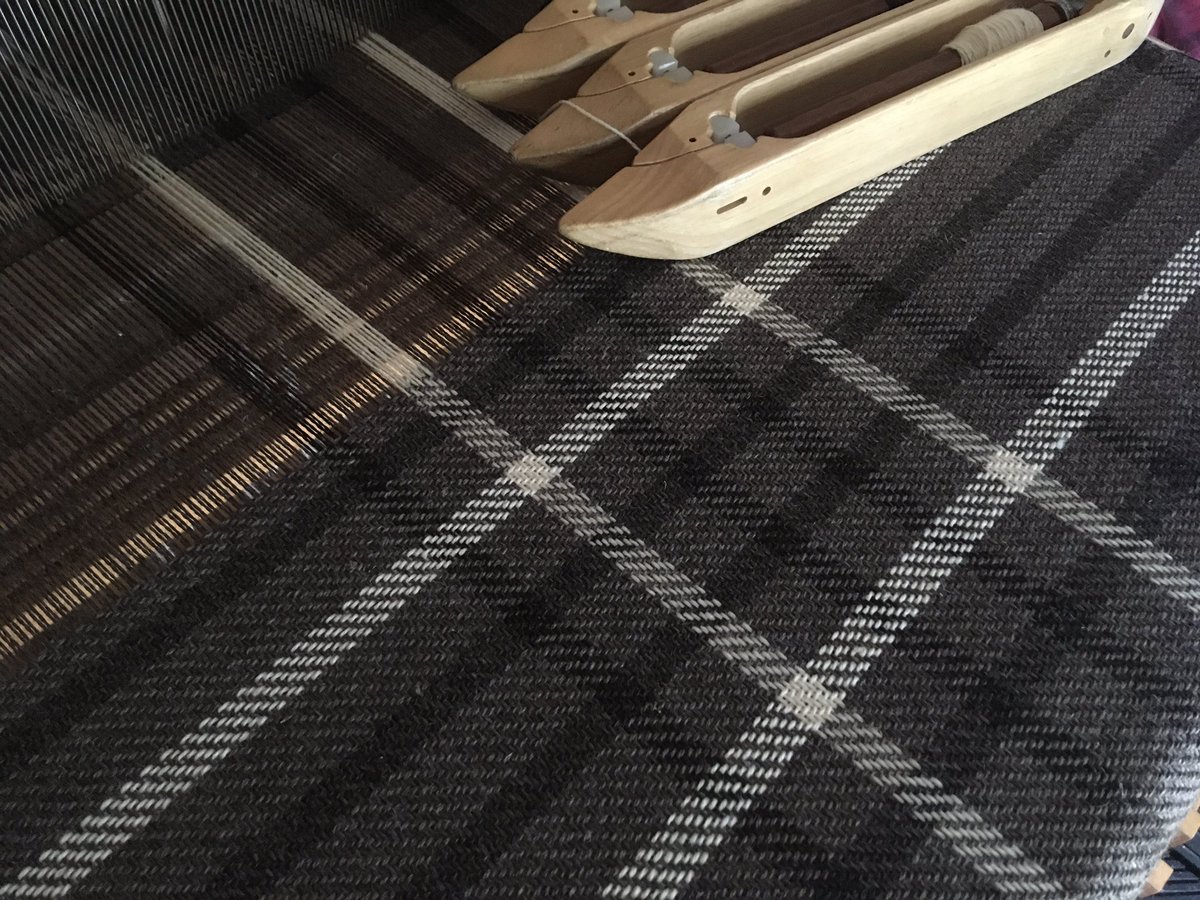 uppercanadaweav's tweet photo. The Norwood Shawl pattern with the colours repositioned. In this version grey comprises the background.
This flock has a great variety of colours and shades of colours because of the range of ages of the sheep. @ucfibreshed #norwoodshawl #undyedwool https://t.co/reWfCFYRd8