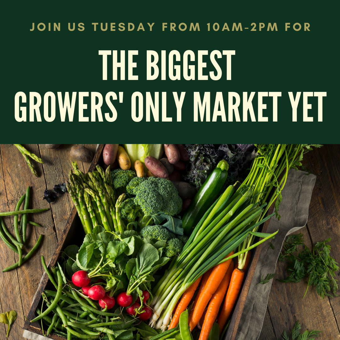 FlintFarmMarket's tweet photo. Tomorrow will be the biggest Growers' Only Market yet! Shop under the pavilion for produce grown by local farmers and gardeners from 10am-2pm.

The indoor market is also open from 9am-5pm.

#Flint #Flintfarmersmarket  #Growersonly #Produce #Fresh #Locallygrown https://t.co/PPrxOPBQje