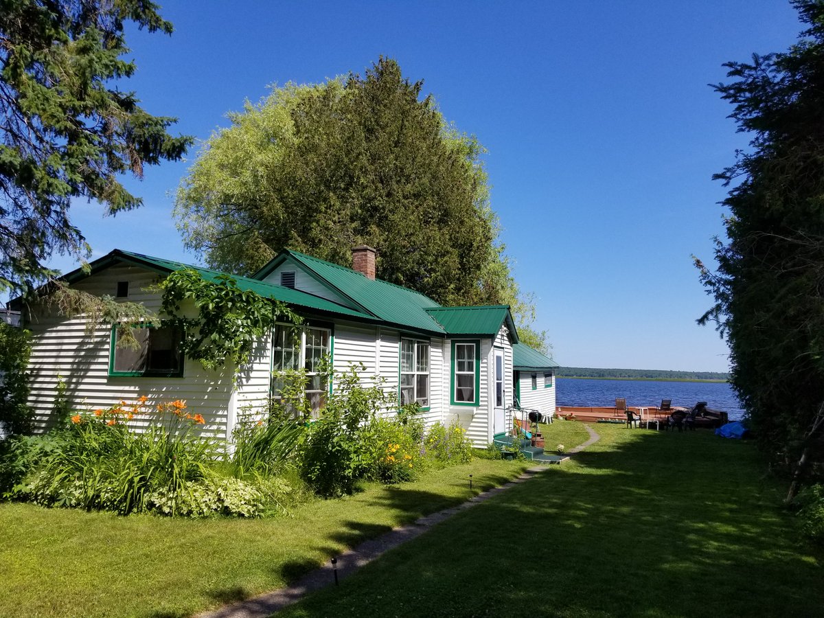 UPTreefarmer's tweet photo. The cabin has a few open nights available in August, but there are still plenty of September and October dates available!  Find our calendar at https://t.co/TJ3nn6ihIe #Chassell #Keweenaw #upperpeninsula #PureMichigan #Airbnb #RusticCabinwithSauna https://t.co/d7gqPfSMJE