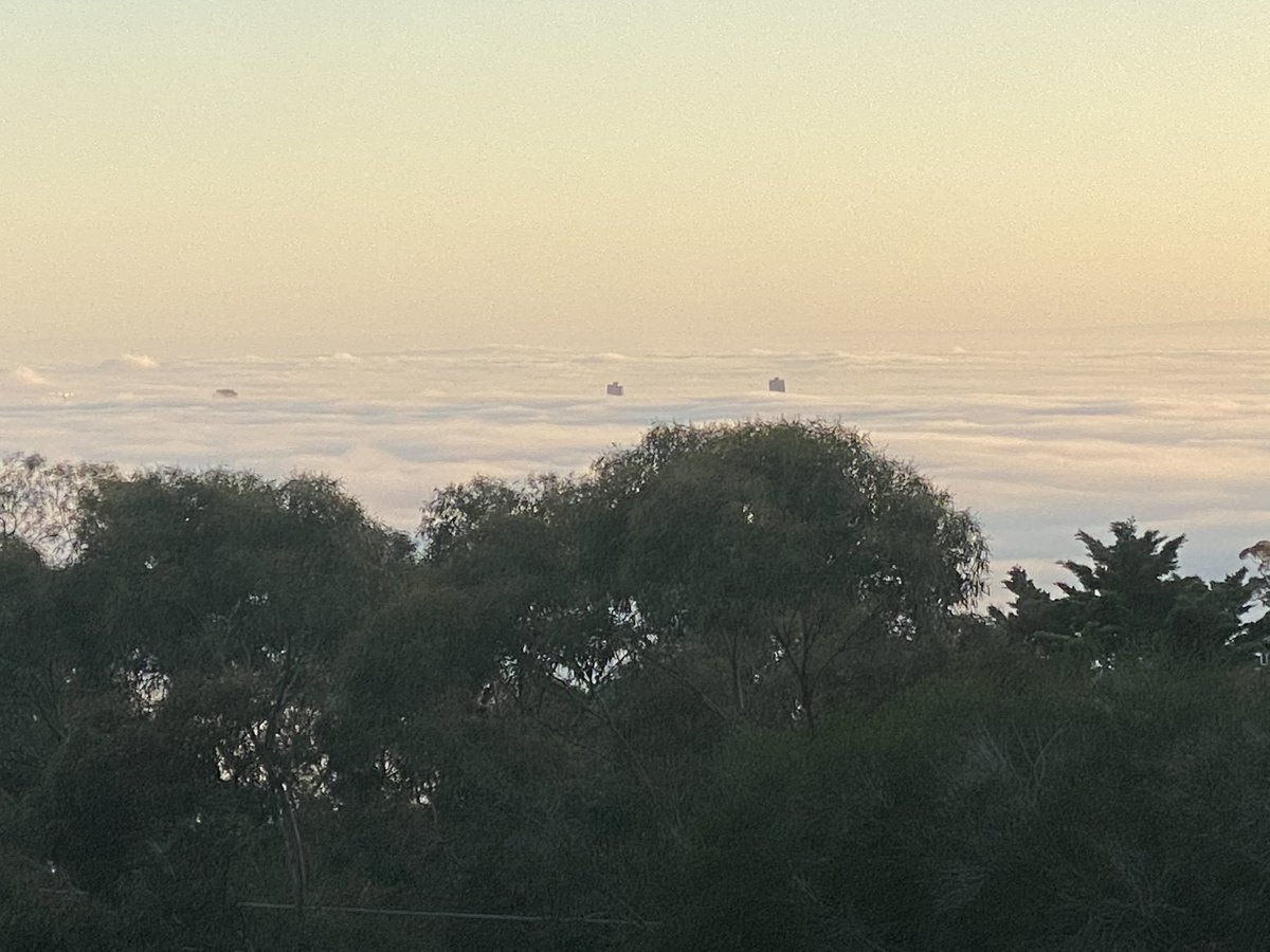 Fogbank over Adelaide. No flying today!