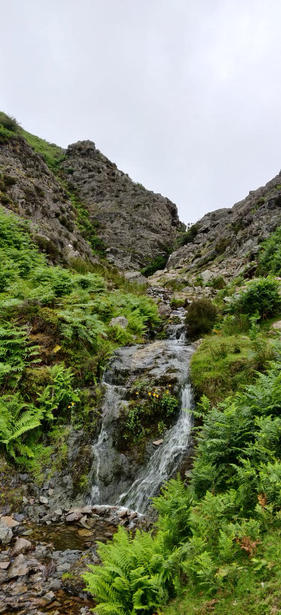 Shughla1's tweet photo. Carding Mill Valley and the Long Mynd
So peaceful place🤗 https://t.co/8UHdbMiQ56