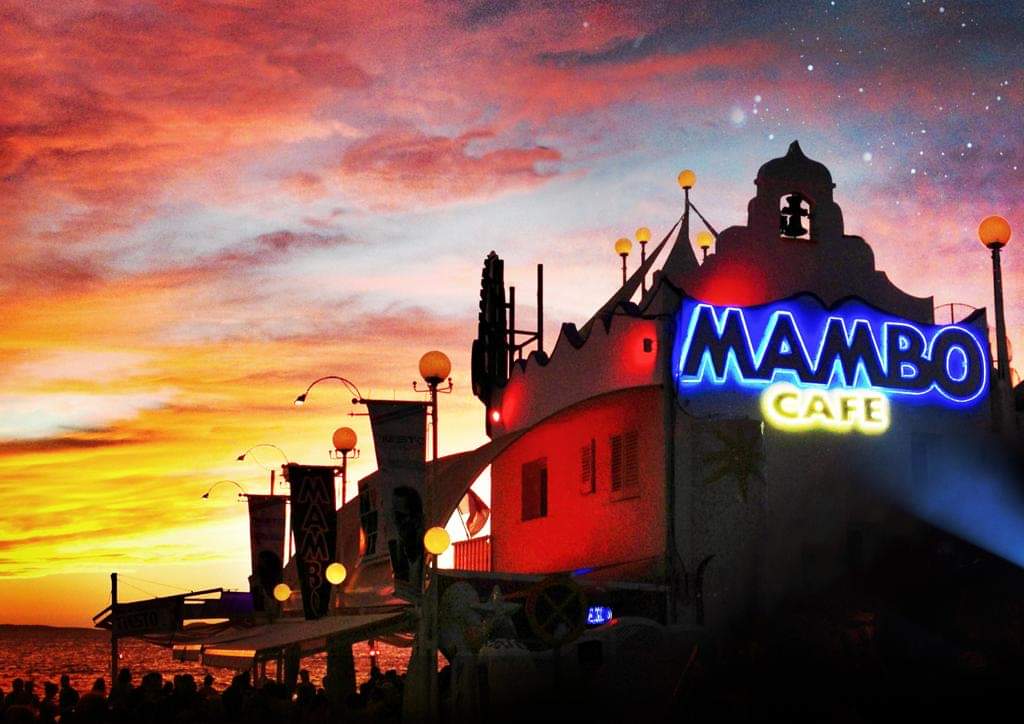 White Isle Ibiza Blog tweet media