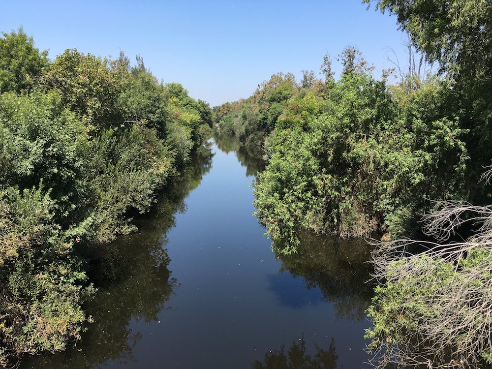 HealTheBay's tweet photo. Cuando varios contaminantes diferentes afectan el agua, el efecto combinado puede tener un impacto grande para animales marinos. Únete a Heal the Bay para aprender más sobre la toxicidad acuática. 7/15 a la 1:30 p.m. PDT.

https://t.co/psSgadHpm2 https://t.co/fwM09QYXv9