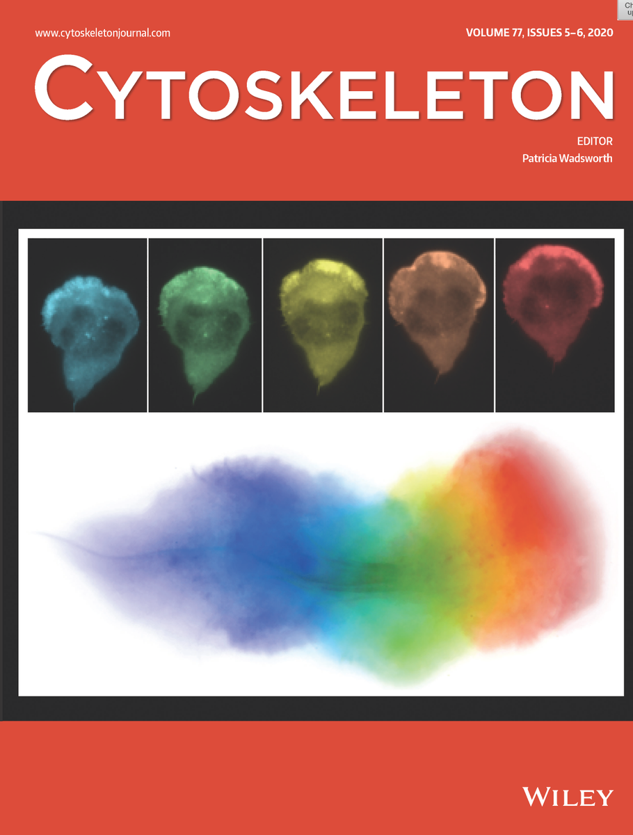 Rikki Garner tweet media