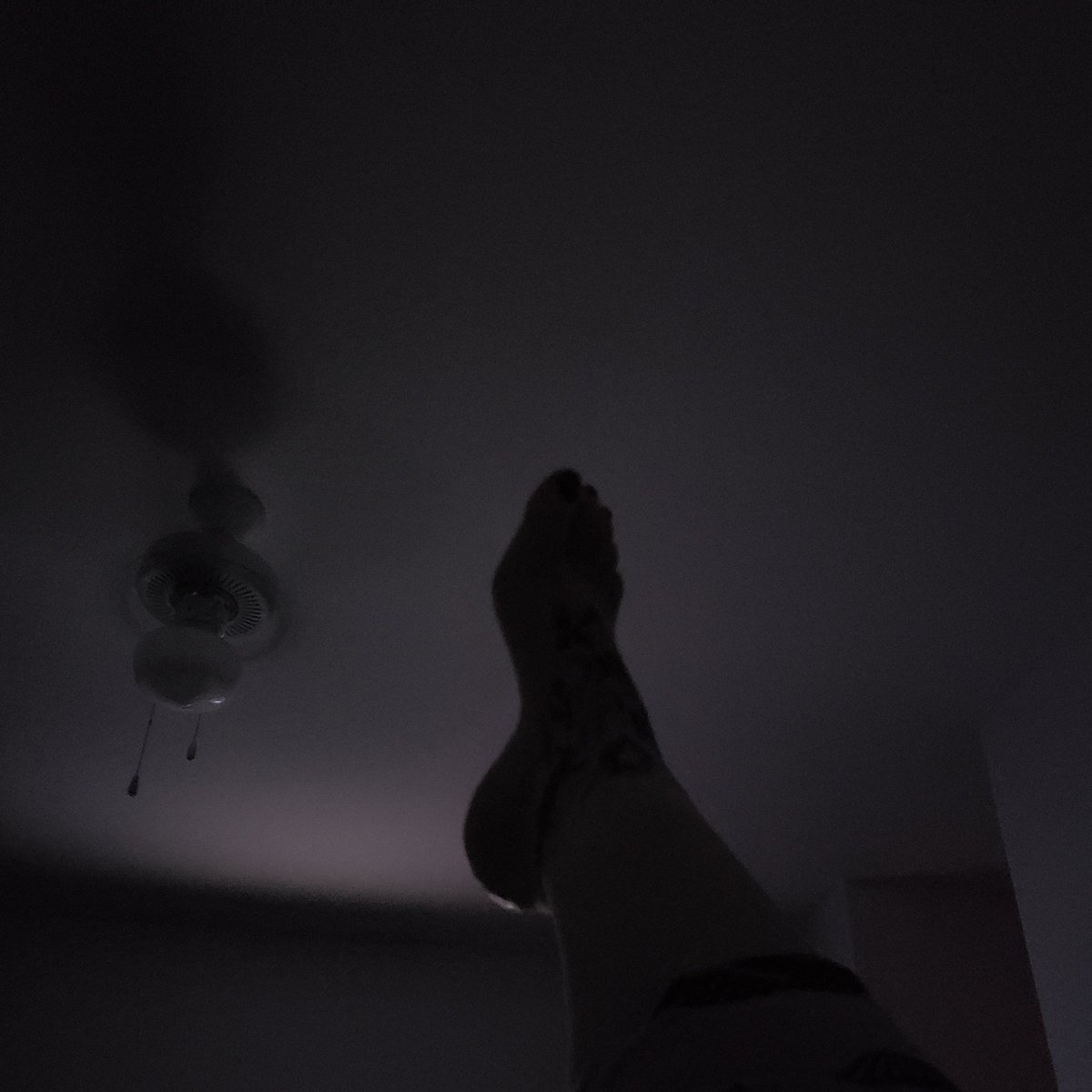 Ihave_thetime's tweet photo. Focus on the curves 

#feet #feetworship #soles #feetpicsforsale #feetfetish #feetpics #feetlovers #barefoot #dirtyfeet #sweatyfeet #hotfeet #toes #feetbuyers #footfettish https://t.co/1KRUYAc0DS