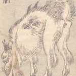 main image of this resource