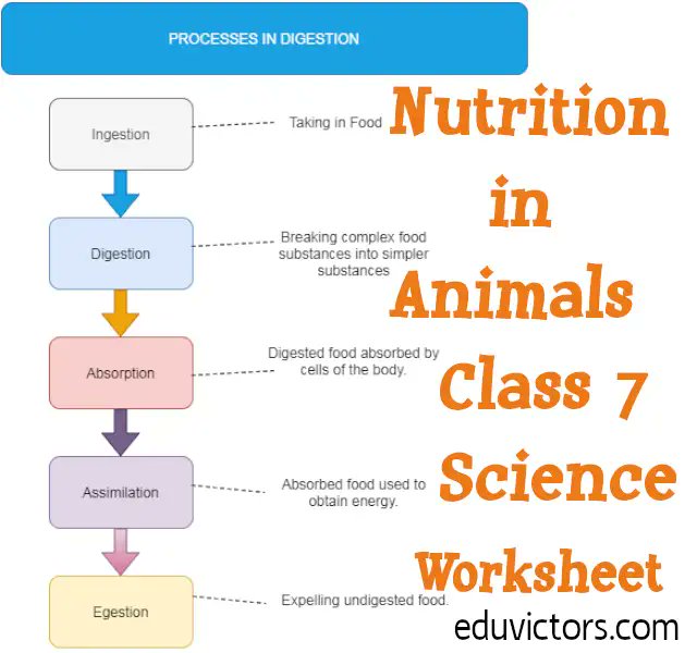 eduvictors2011's tweet image. CBSE Class 7 Science Chapter 2 - Nutrition in Animals (Worksheet)(#eduvictors)(#Class7Science)
cbse.eduvictors.com/2020/07/cbse-c…