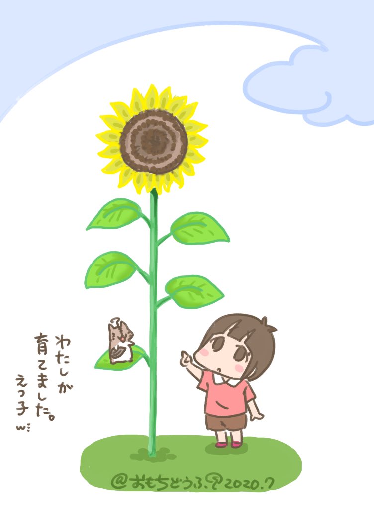 おもちどうふ ひなみちゃん 今日 7月14日 は ひまわりの日 だそうですよ 日本で初めての静止気象衛星ひまわりがアメリカから打ち上げられた日との事 ひなみちゃんとえっちゃん 今年もひまわりの成長を楽しみにしています