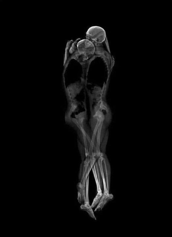 Pli___5's tweet photo. You will not die inside me,even if buried ... https://t.co/uOQdIQVgBp