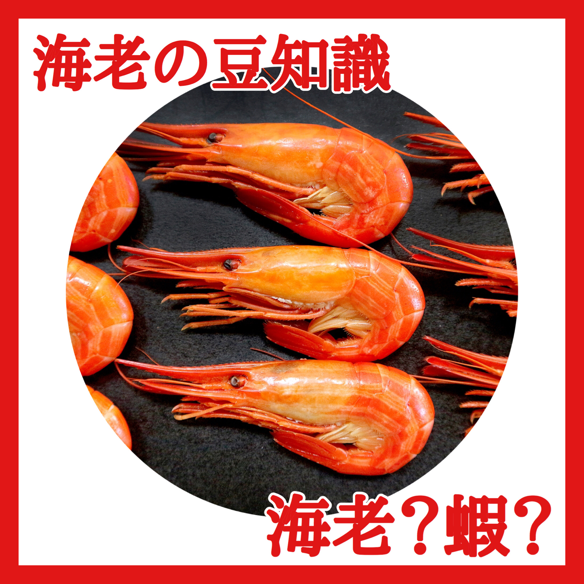 海老の日 記念キャンペーン 21名に豪華 海老関連商品プレンゼント 一社 日本海老協会 En Twitter 海老の豆知識 明日話せる 海老 と 蝦 の違い 海老のうんちく 海老大好き 海老の雑学 T Co Piup6v8sns Twitter