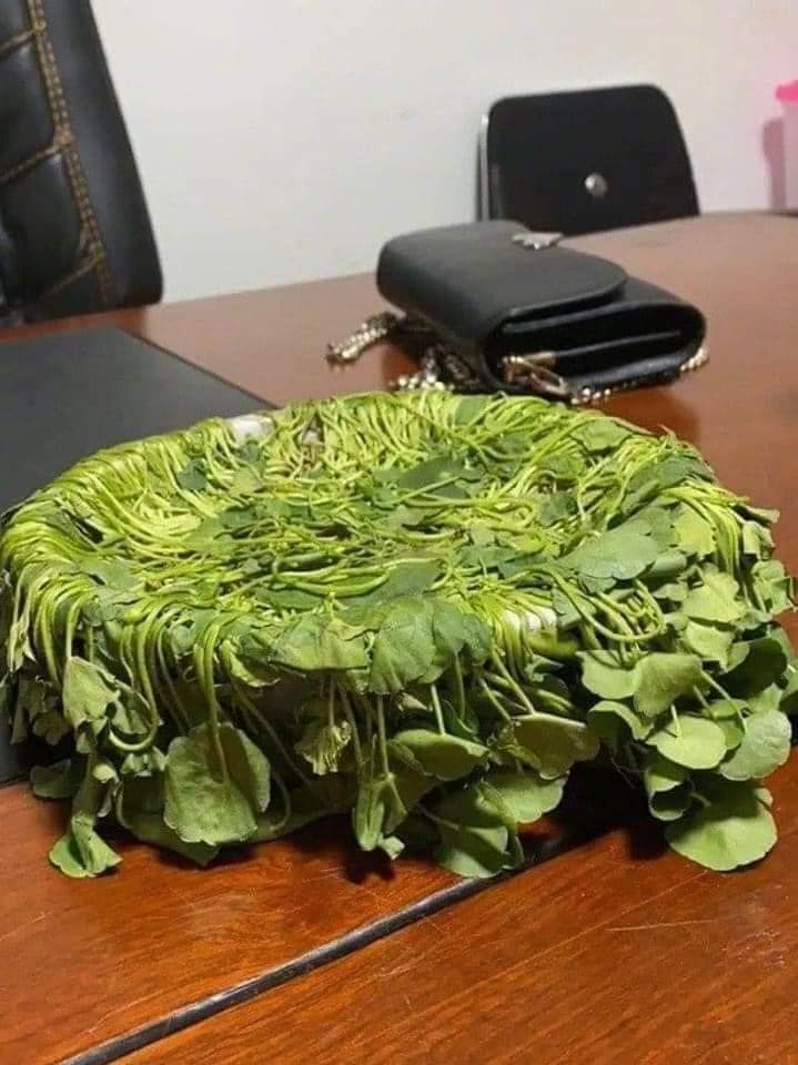 9GAG's tweet photo. If it fits, I sit. 
Oh, it's your plant? Well, I don't give a shit 😼

📸 ใบพลู สุนิสา | FB https://t.co/0eTN3sYGcf