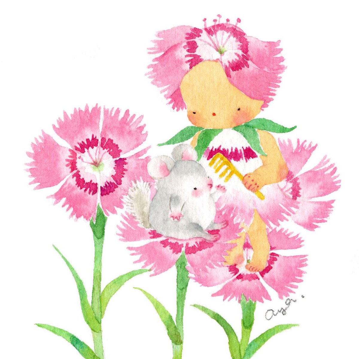 こばやしあや En Twitter 今日の誕生花 7月3日 ナデシコ Pink Pink ピンクのナデシコの花言葉は Pure Love 純粋な愛 チンチラのたたずまいがたまらない 絵 水彩画 イラスト Illustration Happybirthday 花 Flower 7月14日 Pinkpink