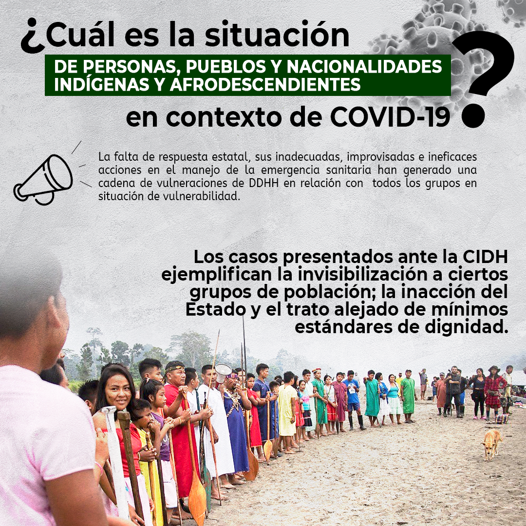 inredh1's tweet photo. 🔴 [InternacionalDDHH]

Organizaciones de derechos humanos presentaron ante la @CIDH Informe sobre la situación de pueblos indígenas, comunidades afrodescendientes, mujeres, niñas(os) y personas privadas de libertad, en el marco de la pandemia #COVID19ec 
@elcomerciocom https://t.co/o7teTS6mBj