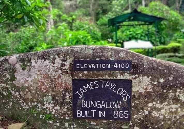 tropical_ceylon's tweet photo. The #Loolkandura #estate, s the first #tea plantation estate in Sri Lanka There are many attractions to visit in this estate especially in relation to the pioneer of #ceylontea  #jamestaylor
#kondagala_rock #firsttea #ceylonteatrails #hikersparadise  #tealover #teatourism https://t.co/hij7pVWLuH